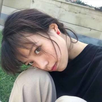 泽诺尼亚4破解版吾爱破解下载