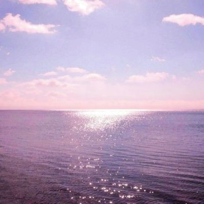 盛世遮天果盘版下载