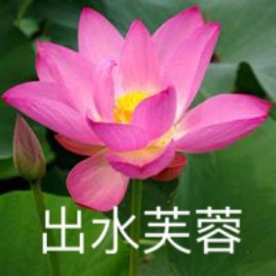 剑舞九天华为版下载